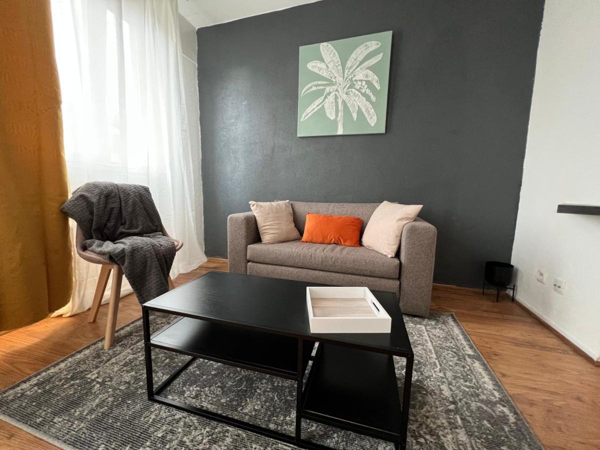 Mon Palmier Grand Appartement Parking Un-Sejour-A-Part Metz Eksteriør bilde