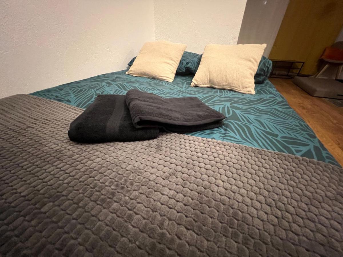 Mon Palmier Grand Appartement Parking Un-Sejour-A-Part Metz Eksteriør bilde